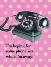 I'm Hoping for Some Phone Sex While I'm Away Gift Tag